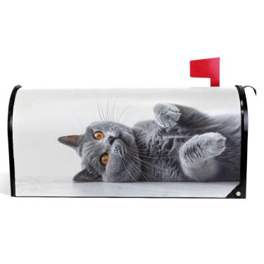 Imagem de TSENQUE Capas de caixa de correio magnéticas decorativas cinza gato outono caixa de correio envoltório vinil fazenda decoração caixa de correio exterior tamanho padrão 52,6 x 45,8 cm