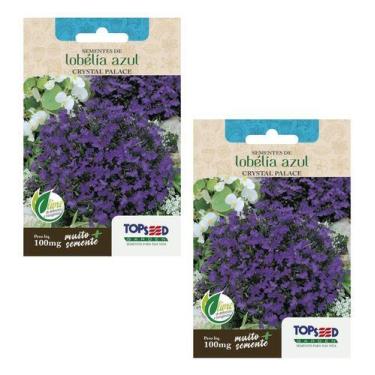 Imagem de 2x Sementes Flor Lobélia Azul Atrai Abelhas Jataí Para Vasos - Topseed