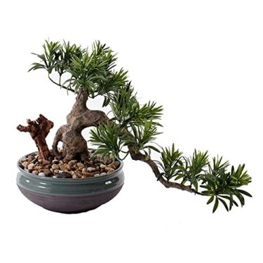 Imagem de Bonsai artificial chinês, bonsai artificial, bonsai de boas-vindas, pinheiro, escritório, madeira, vegetação, planta falsa com vaso de flores de cerâmica redondo, árvore de bonsai artificial