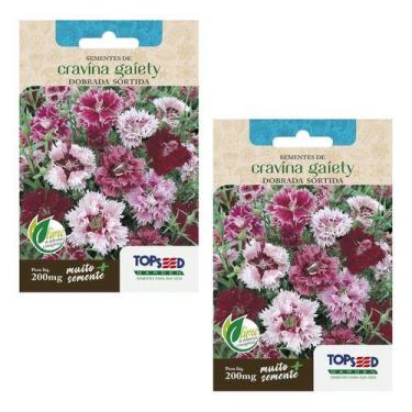 Imagem de 2x Sementes De Cravina Gaiety Dobrada Sortida P/ Vasos 200mg - Topseed