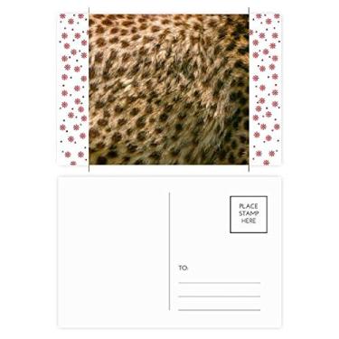Imagem de Cartão postal de bênção com design abstrato de penas de leopardo, Natal, flor de Natal