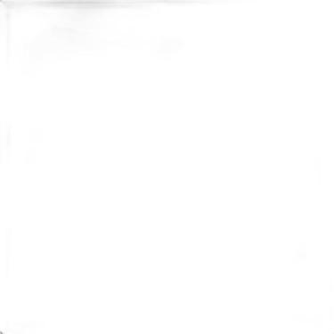 Imagem de Capacho Para Sala Fibra Coco 60X120 Liso