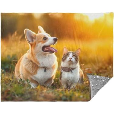 Imagem de TSENQUE Cobertores personalizados para cães Corgi Cat Field Cute Throw Mantas leves e macias para sofá cobertor de lã de vaca 177,8 cm x 139,7 cm