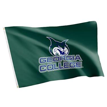 Imagem de Desert Cactus Georgia College GCSU Bobcats NCAA 100% Poliéster Interno Externo 3 pés x 5 pés Bandeira