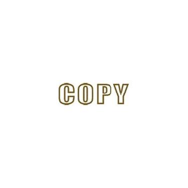 Imagem de Carimbo autotintado Copy Outline - Marrom