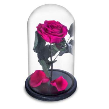 Imagem de Rosa Encantada a Bela e a Fera na Cúpula de Vidro Cod 11 - Preservadas