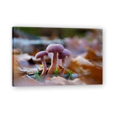 Imagem de LKXGRRSFG Impressão em tela de paisagem de outono Not Alone – Impressão HD realista de cenário de outono para decoração de parede de casa 15 x 59 cm