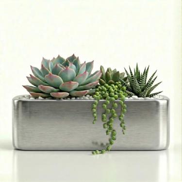 Imagem de Genérico, Cimento, Vaso Quadrado, Verde, 12L x 10P x 11A cm, Acabamento Liso/Simples, Decorativo, Para Plantas