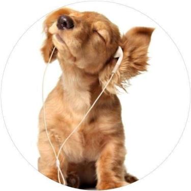 Imagem de Capa De Estepe Ecosport Aircross Dog Pelagem