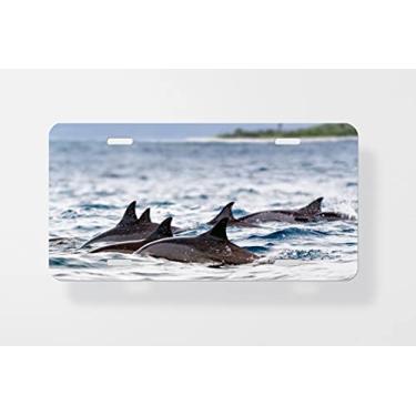 Imagem de Capa para placa de carro Spinner Dolphins – Capa para placa de carro – Capa para placa de carro 15 x 30 cm