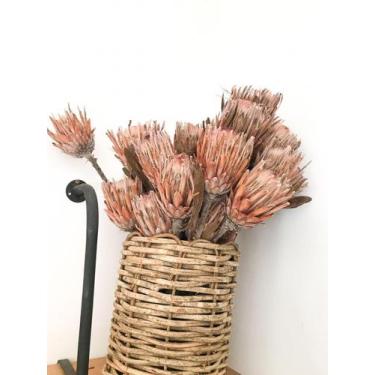 Imagem de Protea Desidratada Decoração Sala Home Office c/ 5 Haste - Tem Flores