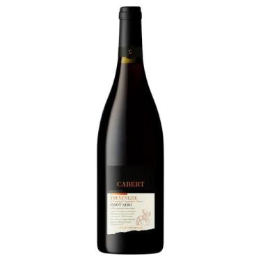 Imagem de Vinho Tinto Cabert Pinot Noir Venezie 750ml