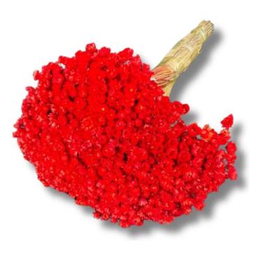Imagem de Buquê Flor Sempre Viva Vermelho Lembrancinha Desidratado Lar - FLORA F