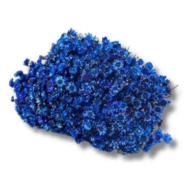Imagem de Flor Sempre Viva Seca Flores Azul Lembrancinha Desidratado - FLORA FUL