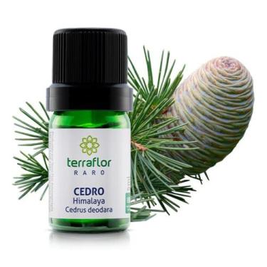 Imagem de Óleo Essencial Cedro Himalaya Terra Flor 5ml Cert. Ibd - Terra Flor Ar