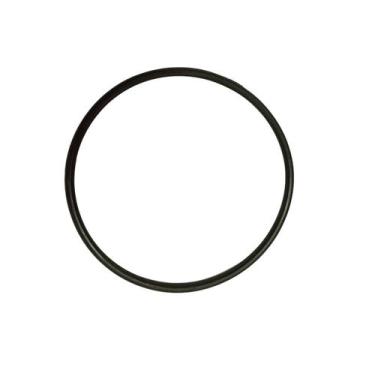 Imagem de O'ring Borracha Anel de Vedação para Tampa do Pre Filtro APP 0/1/2/3/4