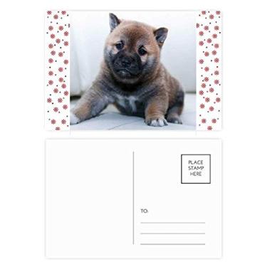 Imagem de Pippy Dog Pet Animal Linda Imagem de Natal Flor Celebração Cartão Postal Cartão Bênção