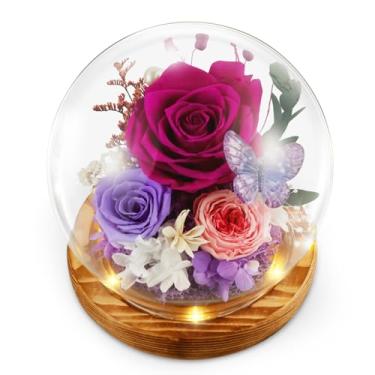 Imagem de Flores preservadas, flores preservadas em cúpula de vidro com luz LED, flores de rosas preservadas para entrega Prime, presente de rosas para sempre, para esposa, irmã, namorada, aniversário, dia dos