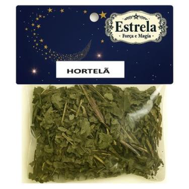 Imagem de Erva Hortelã na Umbanda e Candomblé  Purificação  Serenidade  Proteção