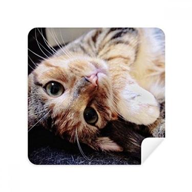 Imagem de Listras gatinho relaxamento animal adorável limpador de tela tecido camurça pacote com 2
