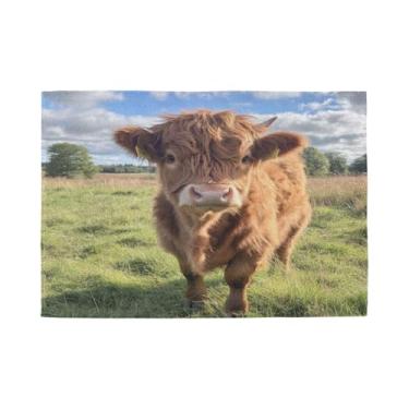 Imagem de Burbuja Jogo americano Cow in Highland, conjunto de 4, tapetes de mesa laváveis antiderrapantes, resistentes ao calor, para cozinha, mesa de jantar, ambientes internos e externos