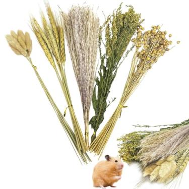 Imagem de PINVNBY Roupa de cama de hamster natural com flores e ervas, decoração de habitat, roupa de cama de porquinho-da-índia, hamster, sprays, acessórios para gaiola de hamster para porquinho-da-índia anão