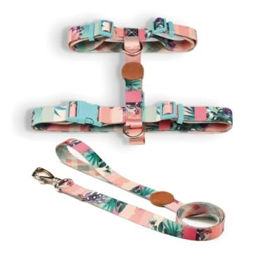 Imagem de Coleira Peitoral H e Guia para Cachorro Fita Premium 100% Poliéster Fecho Resistente(Laguna,G)