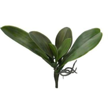 Imagem de Folhagem Folha Orquídea Real Toque C/Raiz X5 (VERDE) 36cm - Florescer 