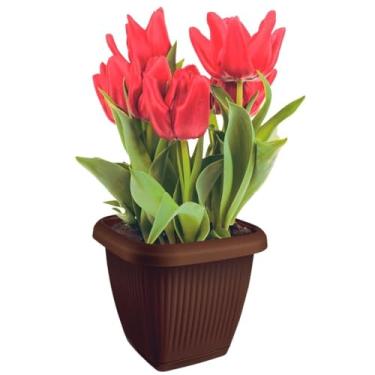 Imagem de Vaso De Plantas Quadrado C/Prato 1,7L em Polipropileno (Marrom)