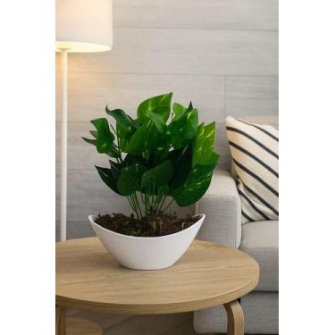 Imagem de Decore Já! Vaso Moderno Com Folhagem Artificial Realista Verde - Cacai