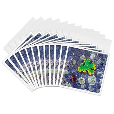 Imagem de 3dRose Cartões comemorativos CA, Cuyamaca Rancho Sp, folha de carvalho e bolhas, 15 x 15 cm, conjunto de 12 (gc_206457_2)