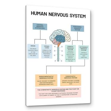 Imagem de PHAMTE Arte de parede do sistema nervoso humano, saúde mental, anatomia cerebral e psicologia, impressão em tela emoldurada, arte para assistente social, terapeuta, aconselhamento, escritório