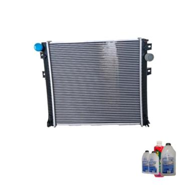 Imagem de Kit Radiador Ar MB Accelo 915C 1016 815 12> Aditivo Radiador Radiex R1952 Rosa Água Desmineralizada