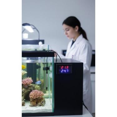Imagem de Termostato Digital 12V 20A: Controle Preciso de Temperatura - Congratu
