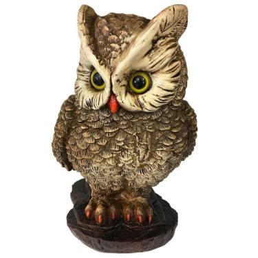 Imagem de Coruja Soberana Na Rocha Decorativa Inteligência E Sabedoria