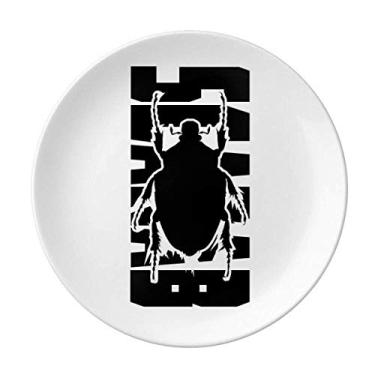 Imagem de Prato decorativo de porcelana para salver, salver, medos, animais, besouros, insect Harm Fears