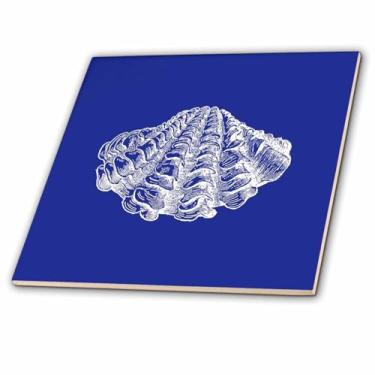 Imagem de 3dRose Estampa de gravação de concha azul escuro concha do mar moderna Azulejo de cerâmica oceano praia, multi