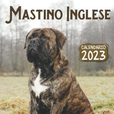 Imagem de Mastino Inglese Calendario 2023: Un calendario mensile di 18 mesi luglio 2022 a dicembre 2023 8.5 x 8.5 pollici. Un grande regalo per natale, un compleanno o qualsiasi altra occasione speciale