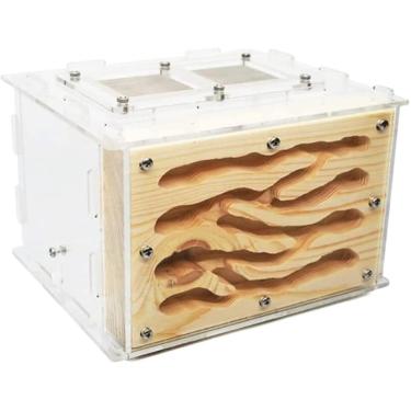 Imagem de Ant Farm Ant House Creative Ant Castle Diy Eco Acrílico Madeira Formiga Fazenda Com Área De Alimentação Ant Castle Ant Nest Ant Farm Para Adultos, Yellow, 15 * 14 * 10cm