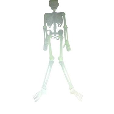 Imagem de Mini Esqueleto Humano Articulado 80 Cm Halloween- Kit 2un - Blook