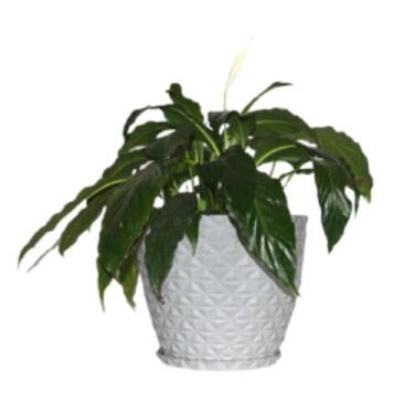 Imagem de Vaso Polietileno para Plantas Jardim Sala Luxo Coluna Bojo Diamante 0 