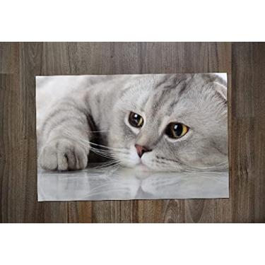 Imagem de Jogo Americano Personalizado de Neoprene Coleção Pet Use na Mesa Jantar, Varanda e Computador Gato