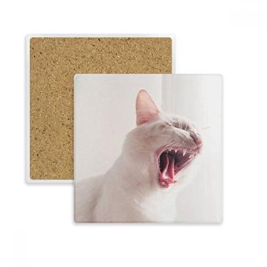 Imagem de Animal branco feroz foto de gato quadrado porta-copos tapete caneca suporte subplaca pedra isolante