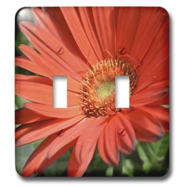 Imagem de 3dRose Lsp_36186_5,08 cm (2") Laranja Gerbera Daisy Macro-Flowers Interruptor de botão duplo