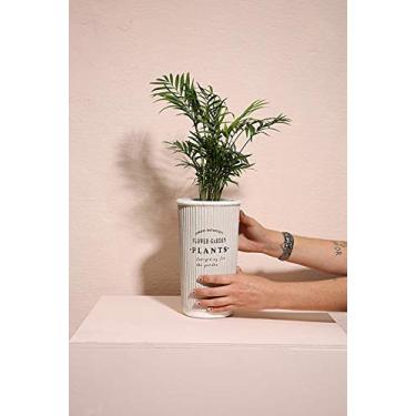 Imagem de Cachepot Pottery Gr Verde Casa Libre Verde Grande