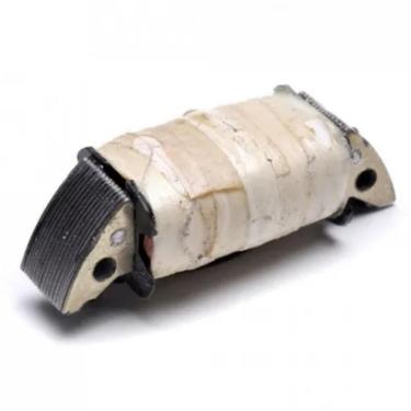 Imagem de Bobina De Forca De Walk Machine