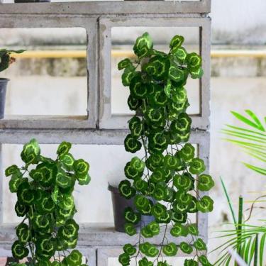 Imagem de Conjunto 5 Pendentes Artificiais: Adicione um Toque de Verde com Plant
