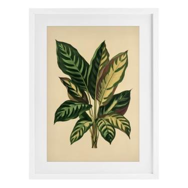 Imagem de Stupell Industries Impressão emoldurada de folhas tropicais com folhas verdes de bétula sob vidro, design por Petal Prints Design, 23 x 17