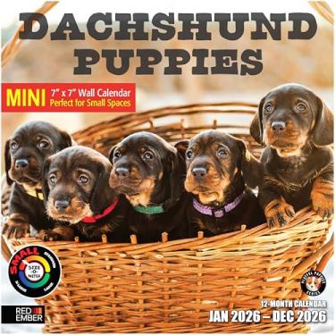 Imagem de RED EMBER Dachshund Puppies 2026 Mini calendário de parede 12 meses | 17,78 cm x 35,56 cm aberto | Papel grosso e resistente | Presente | Calendário 2026