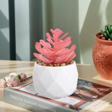 Imagem de Plantas suculentas artificiais falsas para mesa, suculentas falsas realistas em vasos de plástico, mini decoração de suculentas coloridas para quarto, banheiro, escritório, prateleira (rosa D)